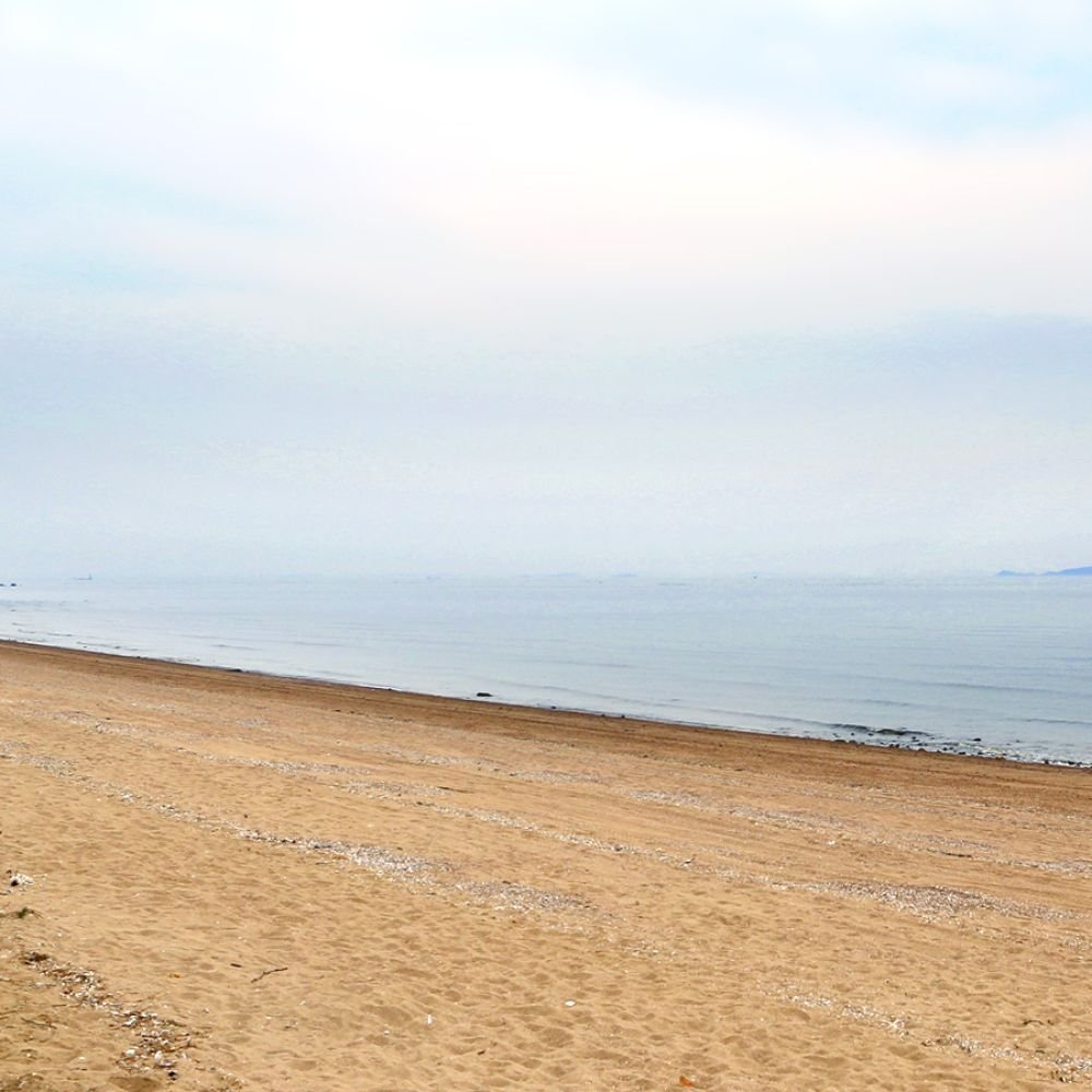 주변전경